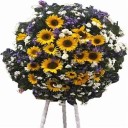 GIRARDO LUIS HORACIO