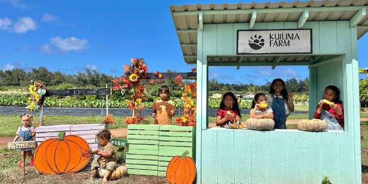 Enjoy autumn activities at Kuilima Farm’s annual Fall Festival