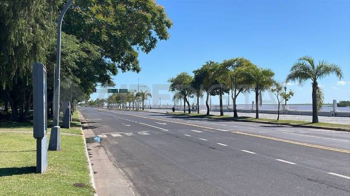 Titi Barletta aseguró que en una semana más de 450 personas ya solicitaron un árbol para su vereda