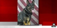 Lorain Police mourns loss of K9
