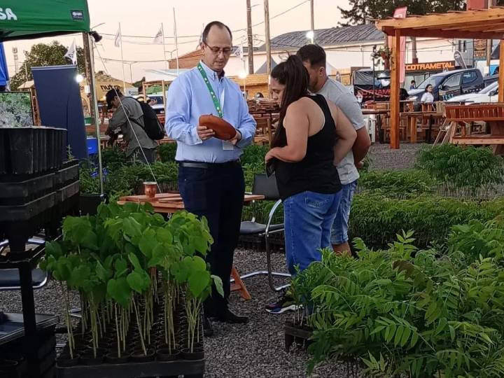 Inició la Fiesta Nacional de la Madera en San Vicente, con fuerte presencia del sector forestoindustrial