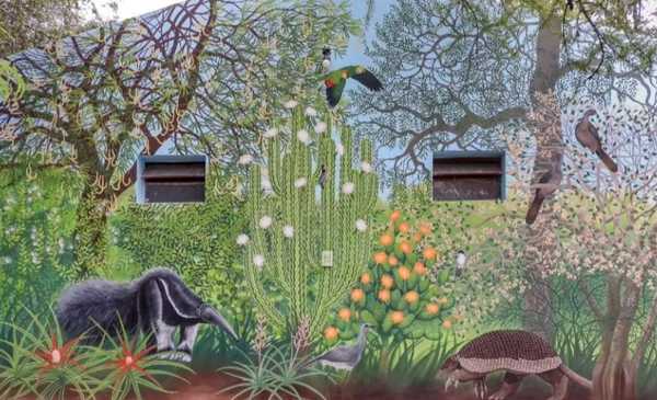 Reserva Natural Formosa: arte, naturaleza y turismo de aventura en vacaciones