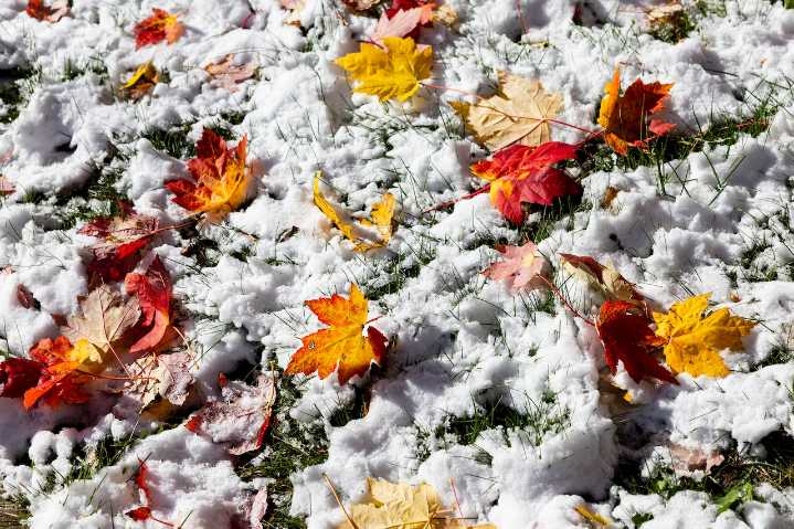 Wintry mix, then rain forecast for a big part of Michigan