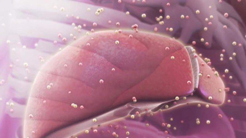 Científicos editaron un gen que podría reducir el colesterol alto de forma permanente