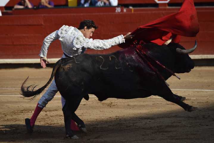 Una feria de altura