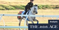 Melbourne Cup 2025: Racing experts’ trifecta tips and form guide