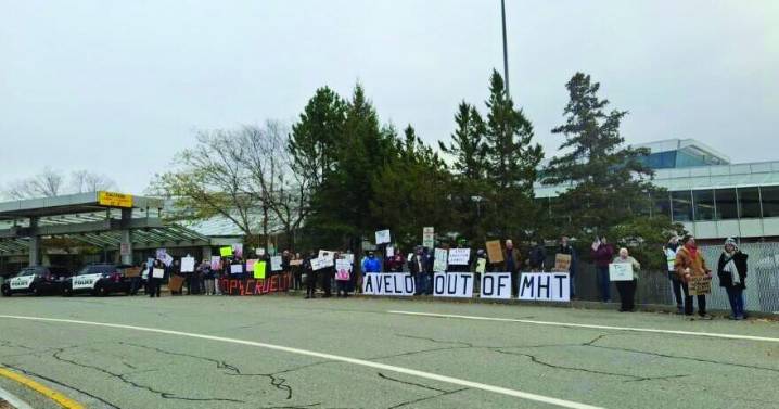 ‘Avelo out MHT': NH protests continue against budget airline operating ICE flights