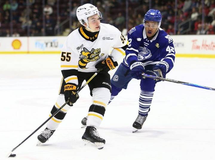 Sarnia Sting gain one point with shootout loss to Brampton Steelheads