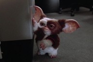 ‘Gremlins 3’ Is Finally Getting Made
