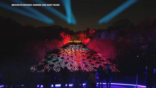 Brooklyn Botanic Garden's annual winter light show, 'Lightscape,' returns for holiday season