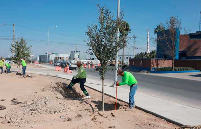 Mejora Saltillo seguridad vial; delimita carriles en bulevar Francisco Coss