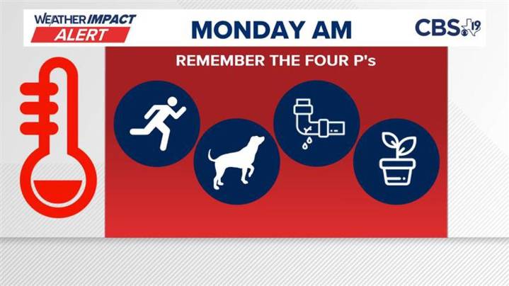 Cold snap in East Texas: Tips for protecting pets, pipes, and plants