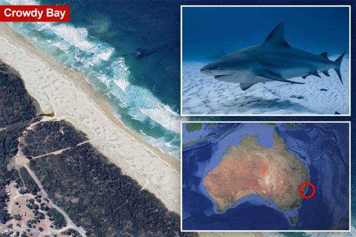 Australian woman killed in shark attack at Crowdy Bay National Park