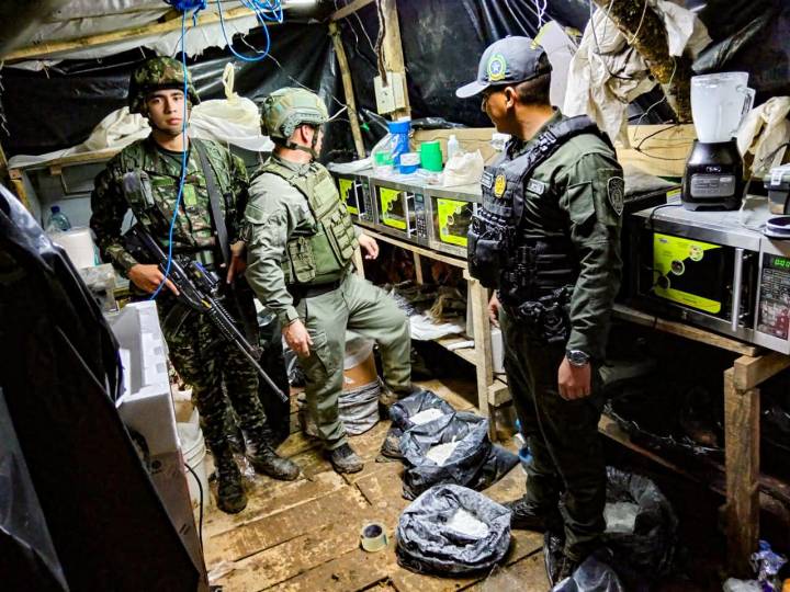Ejército destruye laboratorio de coca y semillero con 2.600 plántulas