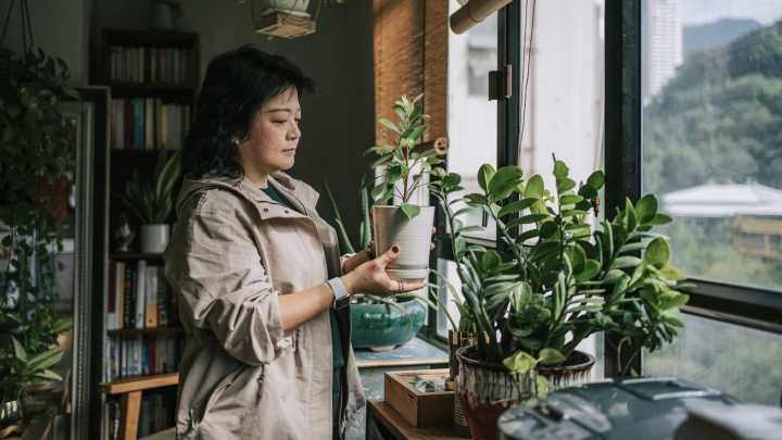 The Popular Bunching Onion Variety You Can Actually Grow Indoors (And Here's How)