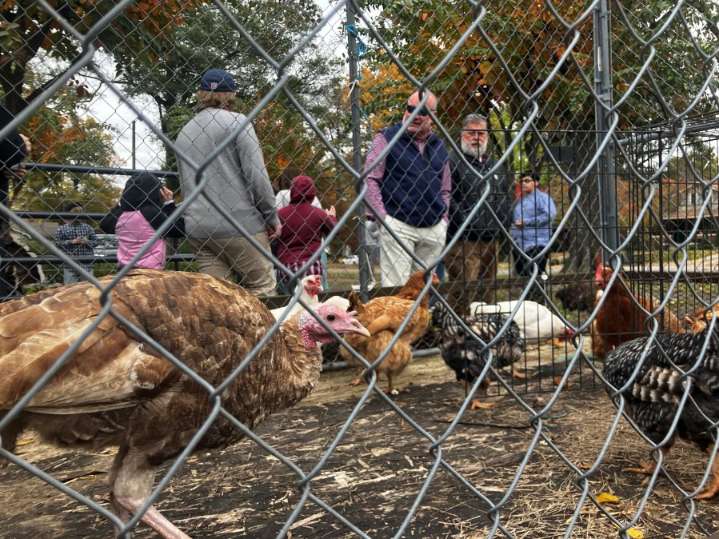 Midtown church holds annual fundraiser for Haiti