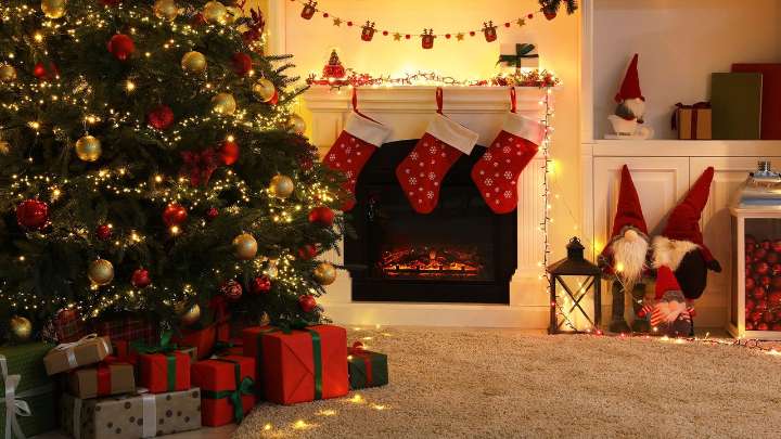 Your Christmas tree could be full of spiders: experts reveal how to stop them spoiling the holidays