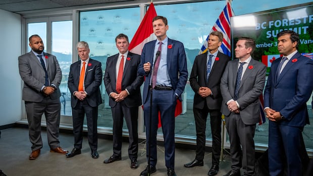 B.C. premier says province won't run anti-tariff ads as it had planned