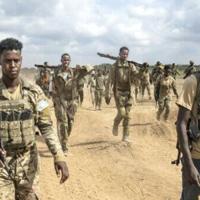 In Somalia, a shaky front line barely holds back the 'dogs of war'