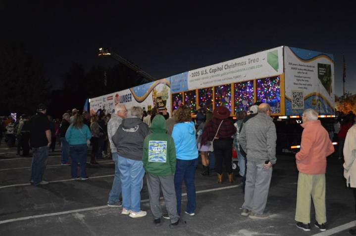 U.S. Capitol Christmas tree harvested from Nevada for the first time