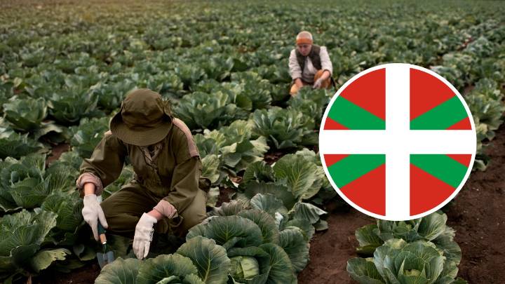 Muy diferente al español: la llamativa forma con la que los vascos llaman al mes de noviembre