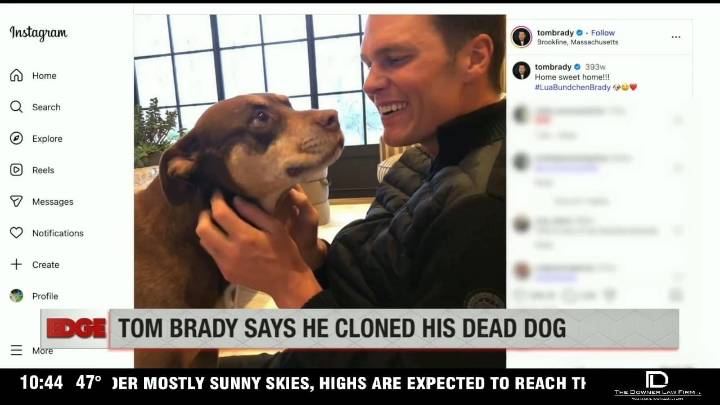 Tom Brady clones his family dog; would you clone your pet?