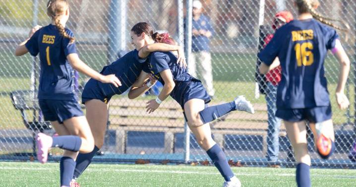 Job complete! Bees cap off legendary season with second straight state title