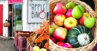The Okanagan’s abundant apple bins
