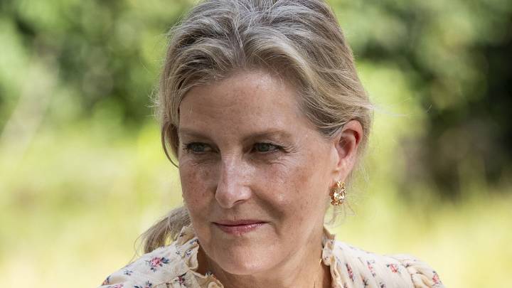 Duchess Sophie lights up the room in vibrant frill-sleeve dress – and Barbie pink lip