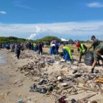 Más de 300 mil toneladas de desechos se han retirado del Lago de Maracaibo