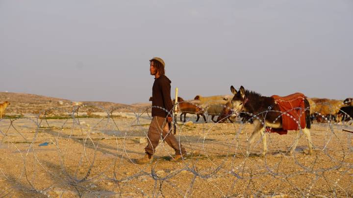 Palizas, incendios y robos: la violencia de los colonos israelíes alcanza cotas inéditas en Cisjordania