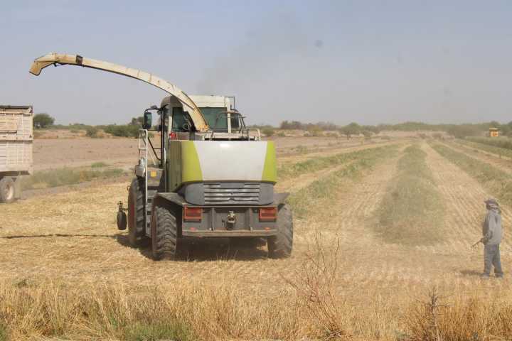 Conagua alerta: no hay gestores ni intermediarios para regularizar concesiones de agua