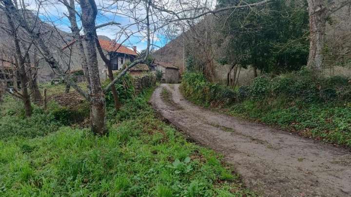 Llanes saca a licitación en 258.000 euros la mejora y pavimentación de caminos en cuatro pueblos