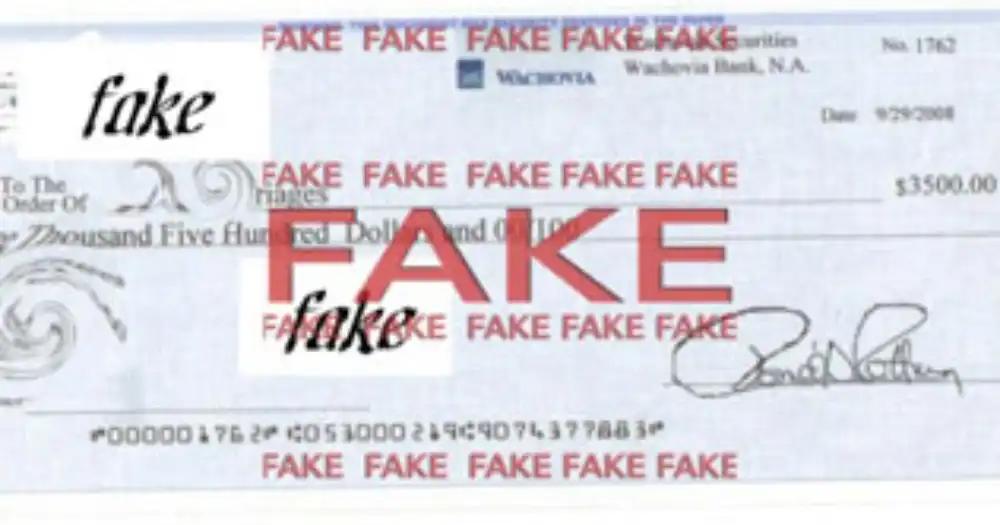 Woman Dupes Srinagar Jewellers of Ornaments Worth Rs 17 Lakh Using Fake Cheques