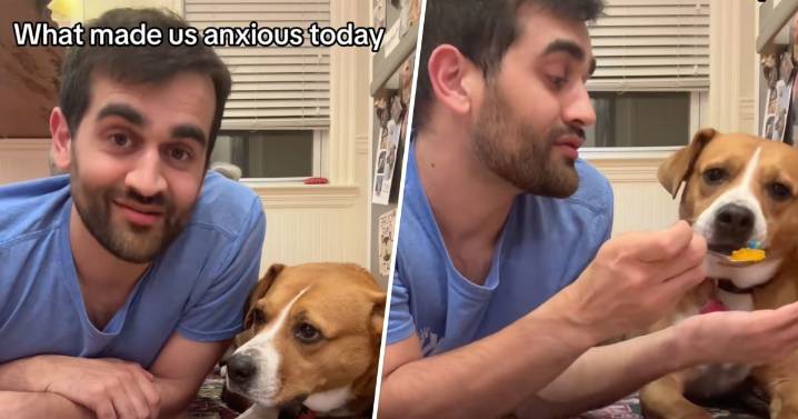 Dog and Owner Take Anxiety Medication Together in Viral Video Series