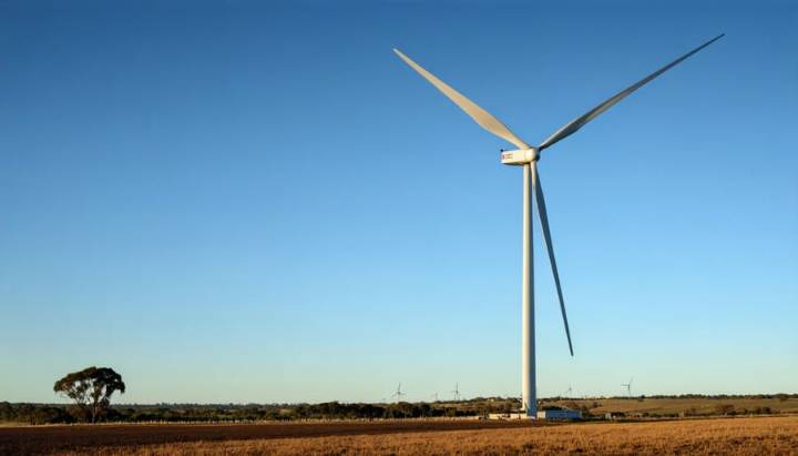 Work on wind power projects in Sri Lanka continues  despite Govt’s assurance to heed protests