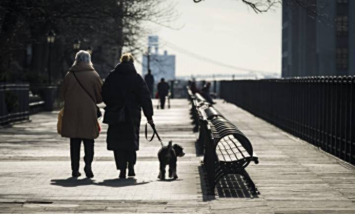 Declaran Código Azul en NY ante ola de frío con riesgo de heladas