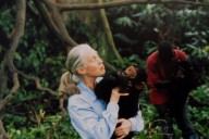 Jane Goodall’s Cause of Death Released