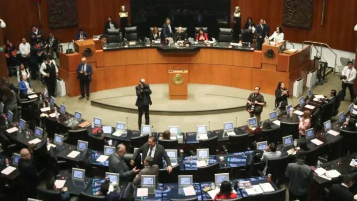 Senado recibe la primera renuncia de un juez penal elegido por voto