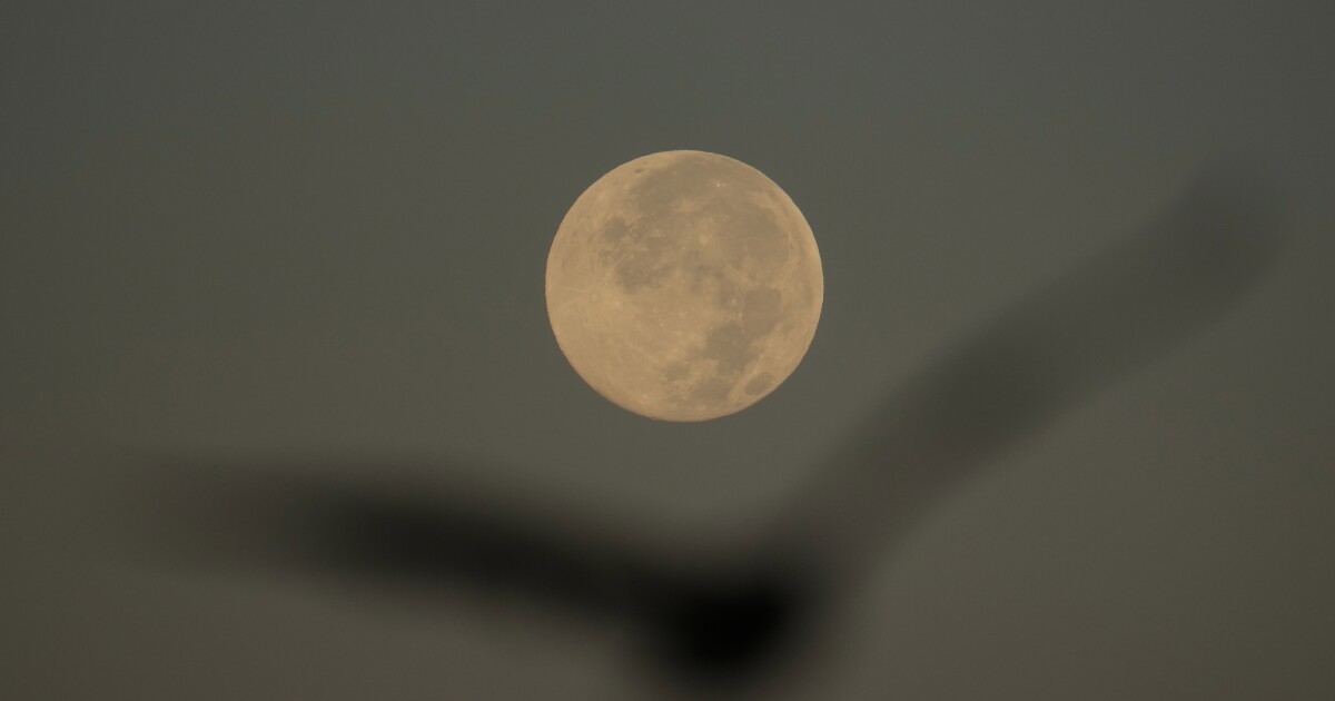 How to spot November's supermoon, the closest of the year