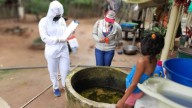 Preocupación por avance del dengue en el Valle del Cauca: autoridades de salud recomiendan que la prevención es la mejor arma contra la enfermedad