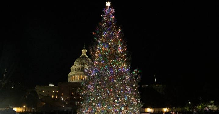 Guest on Fox News Says Don't Buy Holiday Gifts for Adults, and the Internet Goes Off