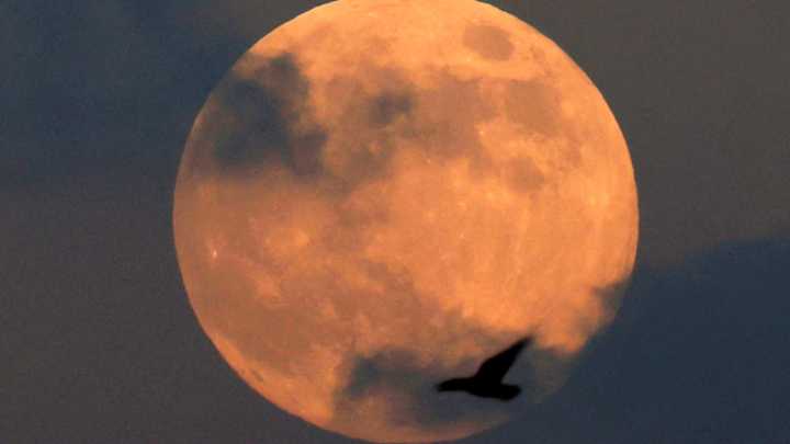 Want to see the November supermoon? Here's when to look up