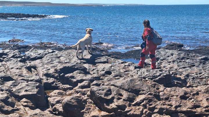 La búsqueda se concentra en Puerto Visser