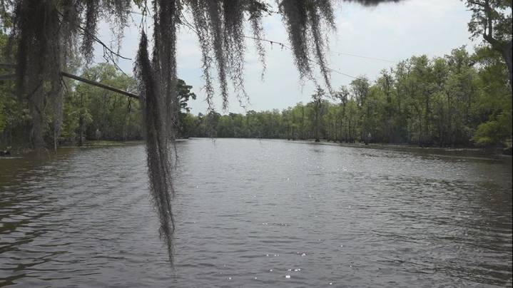 Save My Louisiana sues state, claims carbon capture laws violate state constitution