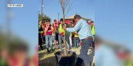 Volunteers plant 115 trees for Arbor Day