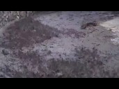 Jan. 2026 wildfire survivors brace for storms, possible flooding, mudslides