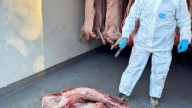 Más de 1600 kilos de carne fueron secuestrados por irregularidades y mal estado