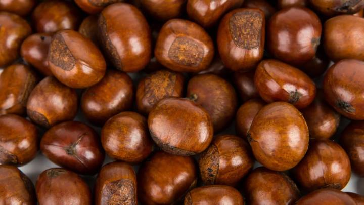 Los mejores lugares para coger castañas cerca de Sevilla este otoño