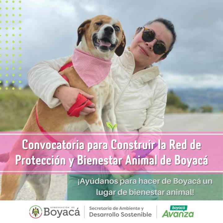 Está abierta la convocatoria para construir la Red de Protección y Bienestar Animal de Boyacá